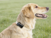 Personal & Pet Tracking