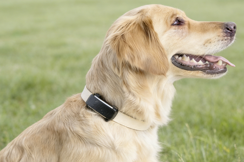 Personal & Pet Tracking